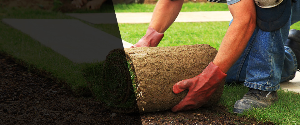 West Park Landscapers